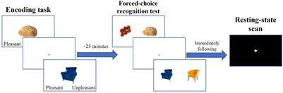 The Relationship Between Default Mode and Dorsal Attention Networks Is Associated With Depressive Disorder Diagnosis and the Strength of Memory Representations Acquired Prior to the Resting State Scan